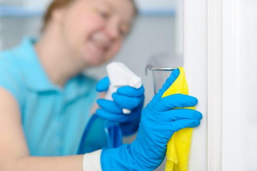 Professional end of tenancy cleaning service for Kingston upon Thames rental properties