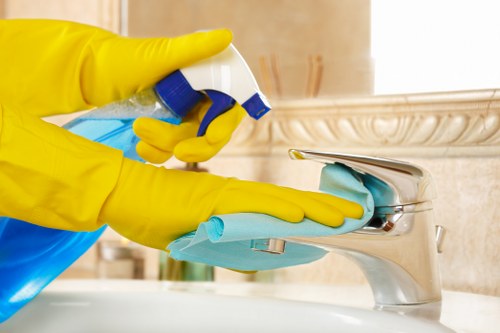 Deep cleaning process for pet stain and smell removal in a flat