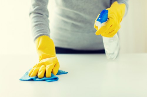 Kitchen and bathroom maintenance included in regular cleaning