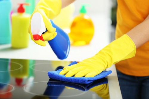Safe and responsible carpet cleaning team working in Kingston upon Thames