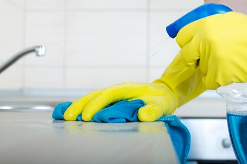Bathroom and living area move-out cleaning for Kingston upon Thames tenants