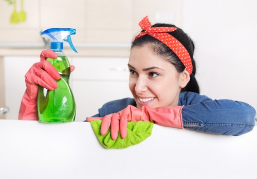Deep carpet cleaning in a local Kingston property