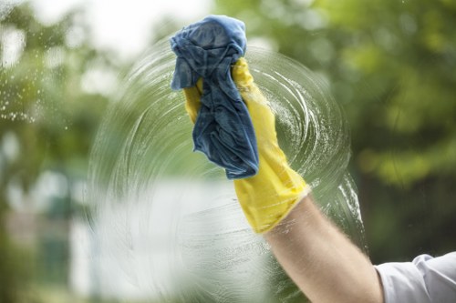 Pet urine odour removal service for a Kingston upon Thames home