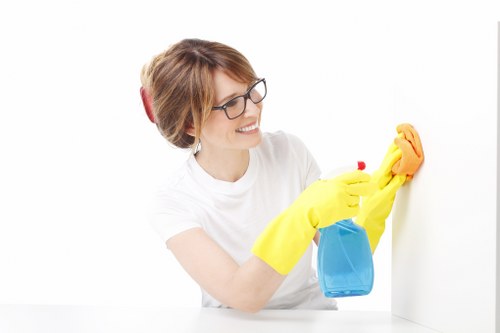 Customer service discussion about a carpet cleaning issue