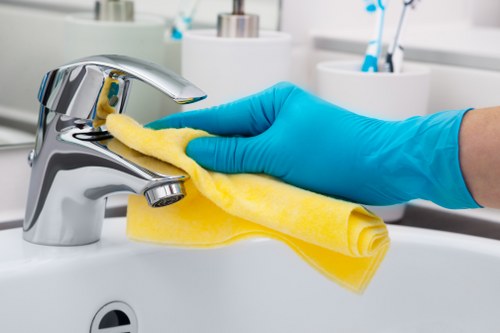 Local cleaner working in a Kingston upon Thames family house