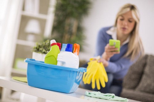 Thorough oven cleaning for residential and commercial customers