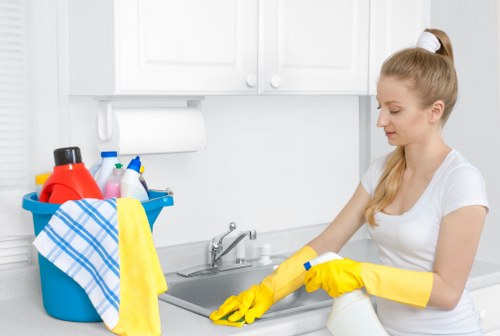 Gutter cleaning service for residential and commercial properties