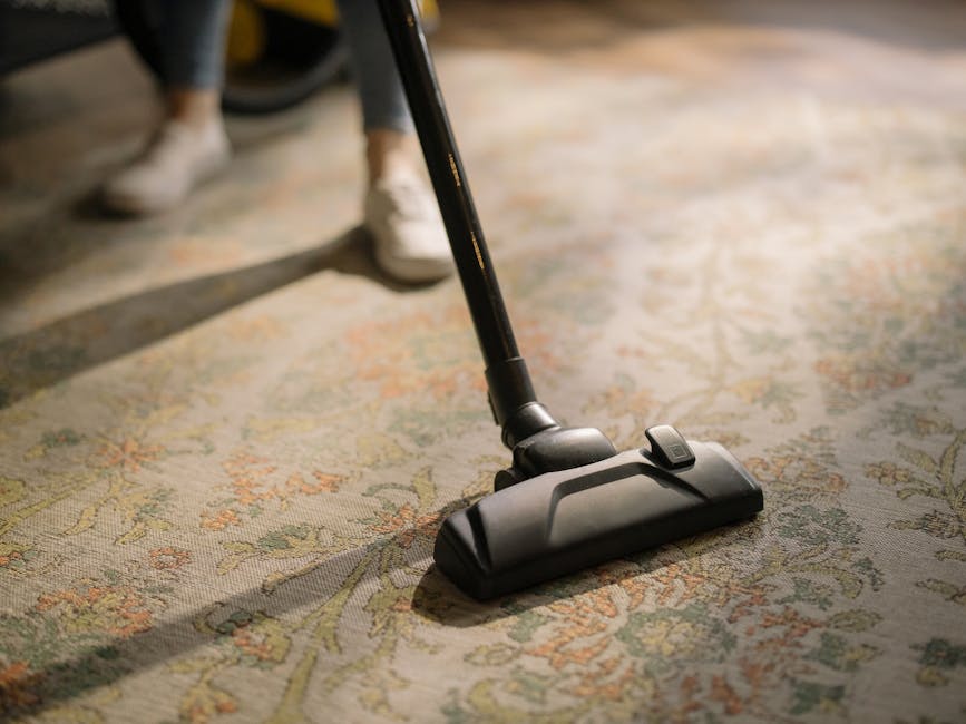 A professional cleaner dressed in a white protective suit, gloves, and blue shoe covers is performing deep cleaning on a beige carpet using a large vacuum cleaning machine in a well-lit living room. The room features a light-colored wooden bookshelf, potted plants near the window, and a white wall with a small grid-style photo display. The floor is covered with a plush, dust-free carpet, and the overall space appears tidy and hygienic, reflecting thorough surface cleaning and maintenance by [COMPANY_NAME], suitable for residential or commercial sanitisation and deep cleaning services aligned with the Kingston riverside flat case study detailed on the page.